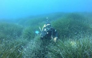 A DI SE TI SIDRIŠ? Uredba o obnovi prirode EU-a: Spas za morske ekosustave