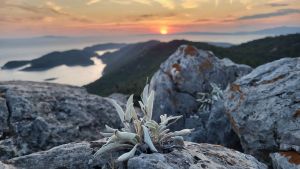 Nacionalni park Mljet odabrao najbolje fotografije prirodne, kulturne i tradicijske baštine