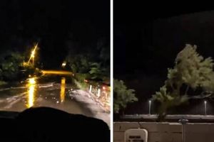 VELIKO NEVRIJEME U Dalmaciji su noćaš "padala" stabla, a kiša je izazivala bujice!