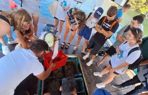 Studenti iz osam zemalja analizirali morske ekosustave zadarskog i šibenskog akvatorija!