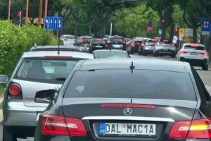 NIJE MOGAO BEZ DALMACIJE Čeh promijenio registraciju na način koji je oduševio Dalmatince!