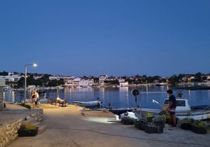 DANI LIGANJA Natjecanje u lovu na lignje, kuhanju brudeta i krpanju mreža u Šimunima!