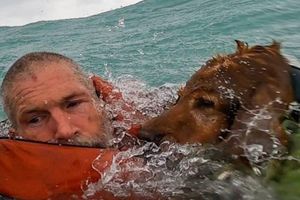 U jeku uragana američka obalna straža s jedrilice spasila čovjeka i njegovog psa!