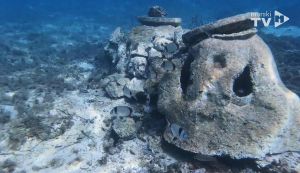 Kako se ribe navikavaju na umjetni greben? Pogledajte na ovom primjeru...