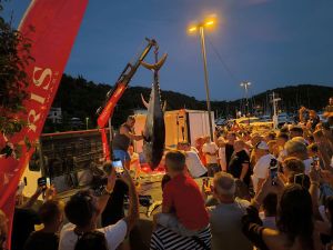 BIG OM 2024.: Turnir velikih tuna i mladih nada u Omišlju