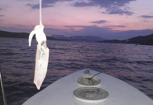 Najavljen 4. Lignjolov kup Neum