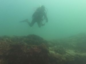 JADRAN JE SVE MUTNIJI Morski biolog: "Moramo smanjiti udio kanalizacije koja završava u moru!"