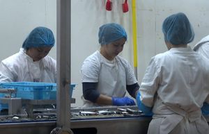 Izmjene Zakona o strancima donose niz novosti kojima se nastoji urediti tržite rada