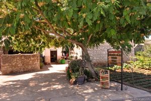 Wine, olive & heritage u Jelsi na otoku Hvaru - Festival vina, maslina i baštine ove godine trajat će dva dana!