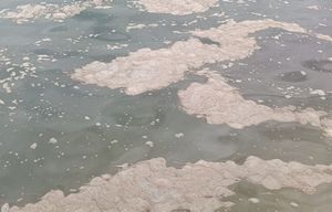 Oko Čiova plutaju govna, splitski Vodovod i kanalizacije kažu: "Cijeli sustav funkcionira najnormalnije"