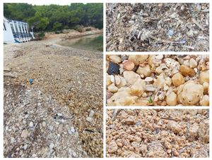 EKOLOŠKA KATASTROFA NA VRGADI  Otočani: "Ljepljiva masa prekrila nam more i plažu, sve smrdi, nautičari bježe, ovo je neizdrživo! Ribogojilište: "To nema veze s nama!"