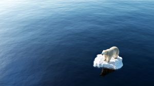 BAROMETAR STRAHA Istraživanje pokazalo kako se Hrvati izrazito boje klimatskih promjena
