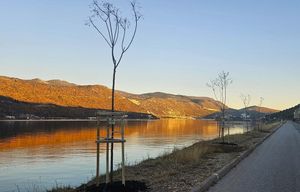 POSADILI NOVA STABLA U BAKRU TZ Grada Bakra priključila se projektu „Hrvatska prirodno tvoja"