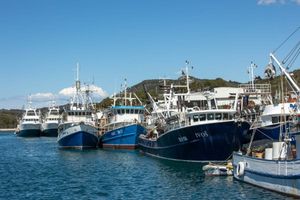 Objavljen poziv na dostavu društveno-gospodarskih podataka u ribarskoj floti za 2023. godinu