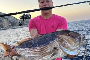 RIBOLOVNA AVANTURA Slovenski mladići proveli tjedan na Dugom otoku: "Manje ribe smo odmah vraćali u more, ali kad je zagrizla ova!"