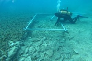 Nova arheološka poslastica u Splitu - tema je drevna cesta na Korčuli koja datira 7000 godina u prošlost!