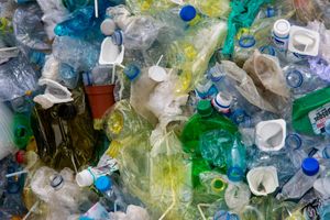 Mogu li crvi pomoći u recikliranju plastike?