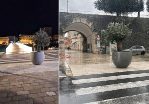 Pod okriljem noći netko je nekoliko stotina kilograma tešku žardinjeru s maslinom pomaknuo stotinjak metara u Zadru do pješačkog prijelaza