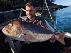 Novogodišnji ulov između Korčule i Lastova - mrcina od 8,5 kilograma!