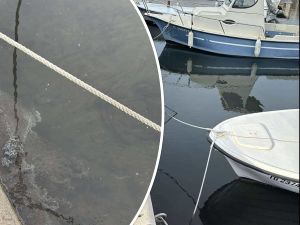 KATASTROFA U MARINI: "Probudio me strašan smrad kanalizacije, ovo je nesnošljivo!"