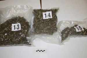 Riječanin pred policijom pokušao progutati drogu, oni mu je iščupali iz usta!
