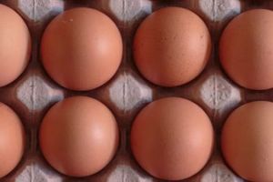 Zbog salmonele ova se jaja povlače s polica