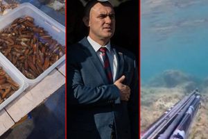 Dabri smo na samom početku mandata na stol dali važne dokaze o krivolovu na Jadranu, odgovoreno nam je: "Ima izbore u stranci, može li to pričekati?"