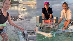 Od mora prema nebu - Kako koralji u stresu utječu na planet?