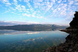 Istražite Vransko jezero i proslavite Dan močvarnih staništa - ukrcajte se u "močvarni autobus"!