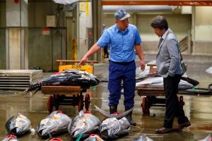 Na aukciji u Japanu prodana tuna za 1,28 milijuna eura!