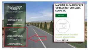 SLUČAJ SADNICE Grad Novalja sadnju maslina od 45 eura, plaća 1186 eura po komadu? HDZ-ov gradonačelnik pojašnjava: "Evo što ulazi u tu cijenu..."