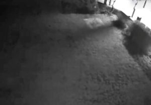 Kamere snimile potres na Paklenici