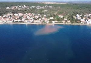 Ilovača uništava morsko dno u Zadru: "Ovo je još jedna posljedica pomahnitalih građevinskih radova!"