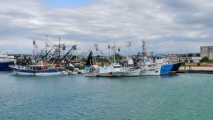 Zadarska županija sufinancira projekte udruga u sektoru poljoprivrede, ribarstva i zaštite životinja