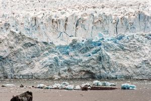 Svijetu sve snažnije prijete klimatske promjene - Kako ih usporiti?