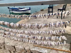 DANI KAMENICE Velika fešta u Malom Stonu!