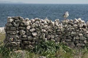 Predstavljenje "Vodiča kroz suhozidnu baštinu Šibensko - kninske županije" u Zagrebu