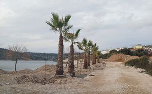 ANARHIJA U SEVIDU I OPĆINI MARINA Divljaci na plaži i kobasice od 36.000 eura