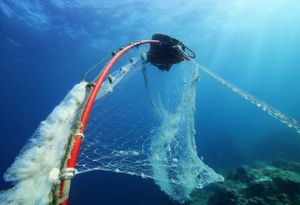 Sportski ribolovac o novom Pravilniku: "Pa nas ne zanima riba koja propada kroz gradele, ribe nema zbog koćara i plivaričara - Znate li što te mreže rade dnu?"