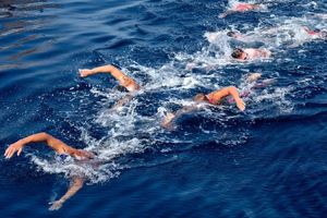 Europsko prvenstvo u plivanju na otvorenim vodama u Starom Gradu na Hvaru