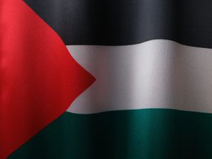 NA NOĆNOM MARŠU Prorektor Riječkog sveučilišta priveden zbog nošenja palestinske zastave