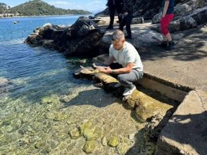 SREĆA Uspješno spašena mlada morska kornjača u NP Mljet: "Progutala udicu - Pomogli posada trajekta, veterinar..."