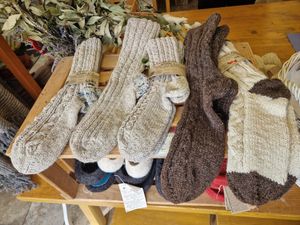 EUROPSKI DAN VUNE Blago otoka Paga predstavilo se u Rimu