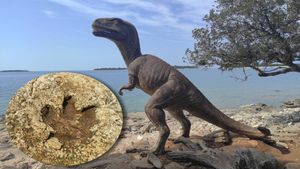 Sto godina od otkrića stopa dinosaura na Brijunima