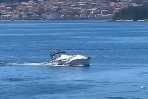 Jedrilicom koja se sudarila s  trajektom "Ugljan" upravljao je Slovenac koji je pri sudaru pao u more!