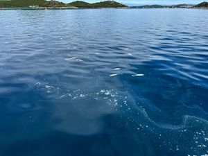 ŠTO S POTENCIJALNIM ONEČIŠĆENJEM? Ministarstvo odobrilo Talijanima proširenje kapaciteta uzgajališta brancina i orade kod Vrgade: "Ne treba vam  procjena utjecaja na okoliš, ali ako riba pobjegne iz kaveza ulovite je što prije"