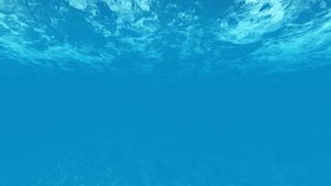 Podmorje zadarske plaže Kolovare očistit će podvodni dronovi i autonomna plovila
