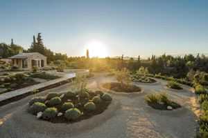 Hvarski maslinari briljirali na prestižnom NYIOOC natjecanju u New Yorku