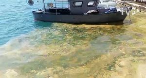 VIDEO: STRAŠNE SNIMKE IZ HVARA "Nafta posvuda pliva i to baš sad..."