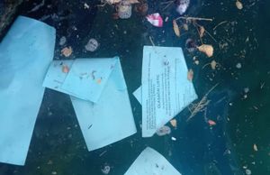 Državno izborno povjerenstvo o izbornim listićima u moru: "Odnio ih vjetar!"